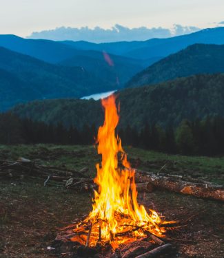 pexels-vladbagacian-1059042